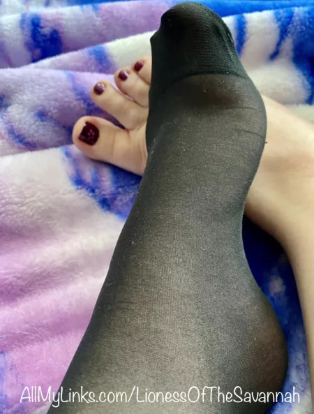 Do you like my Nylon socks or my Fresh Pedi?! 😋 Maybe both? 😜 by Savannahs_Feet