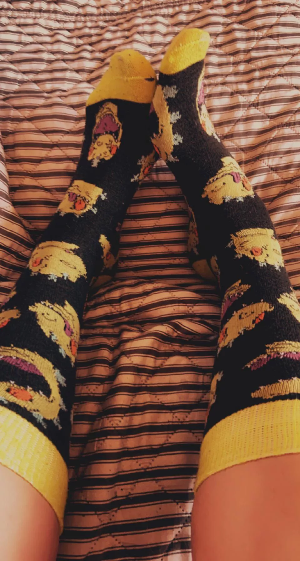 Do you like my Reptar socks 🥺[female] posted by nenigma4all