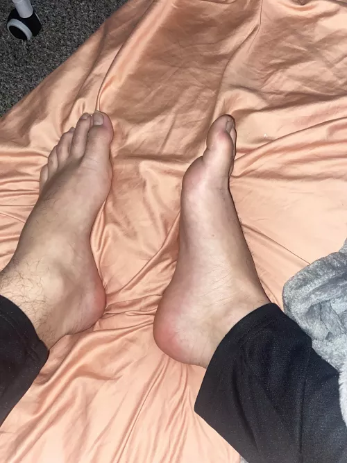 Do you like my size 15 feet? by chriscomp