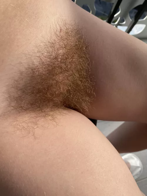 do you like my wild ginger bush? by abbysunny