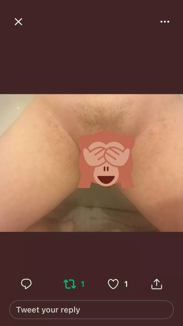 Do you like the monkey posted by Equivalent-Donut4292