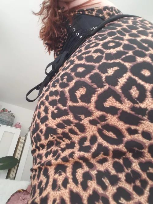 Do you like the view? by Gingerfox7474