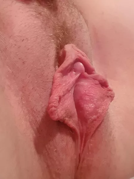 Do you like them? by missrosexo