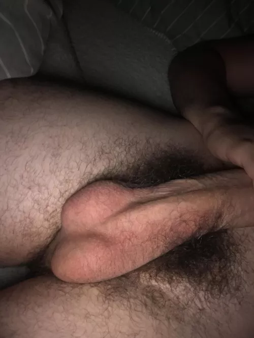 Do you like them by lw1111