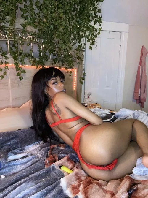 Do you like this view? by Shot_Shape_4188