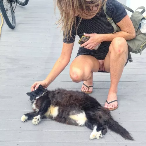 Do you love animals? by ddiscoo