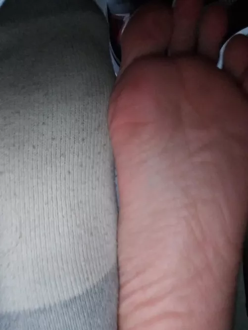 Do you prefer socks or no socks? by DissonantHarp