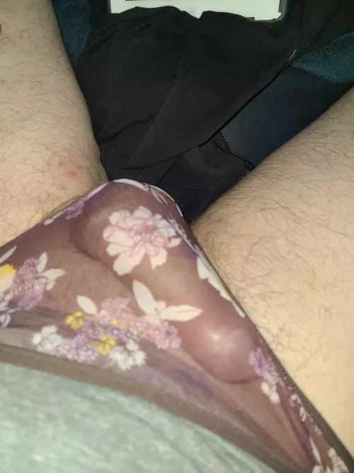 Do you see what I see (M)? by SliqMcQuiq