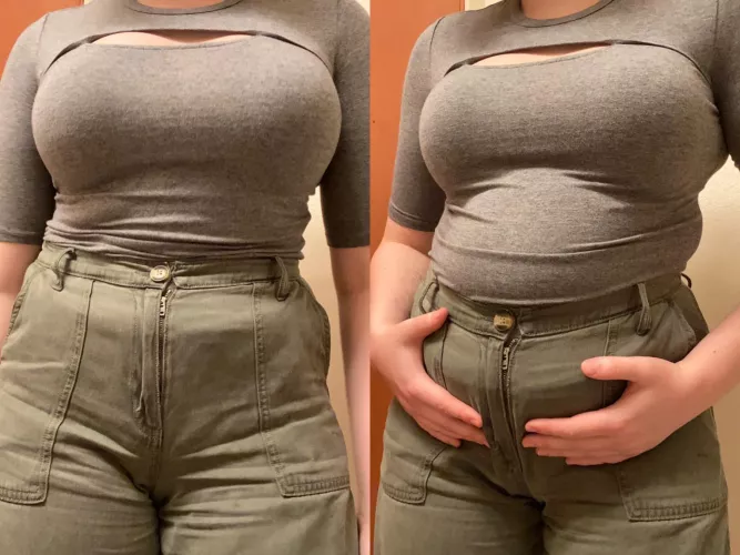 Do you think I overdid it for Christmas dinner? by HeftyDoggy