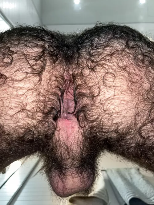 do you think it can get any better than this? by SufficientProcess607