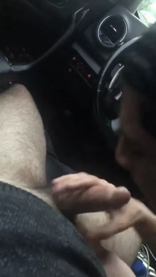 Do you wanna a ride?!😈 by Putrid_Ad1099