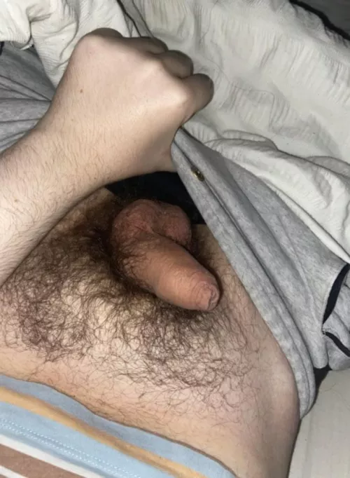 do you wanna pet my bush bro? by fellovertoo