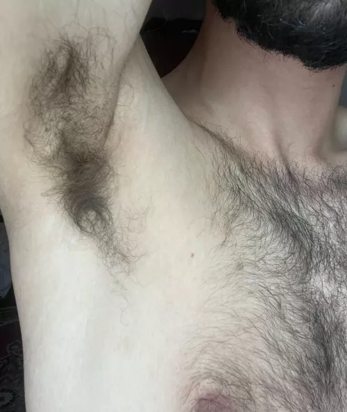 Do you wanna sniff or rub? by Ecstatic-Switch