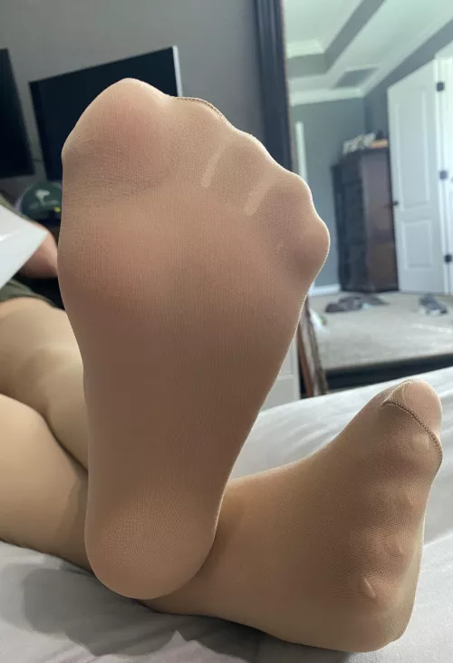 Do you want a sniff? by SoftSolez