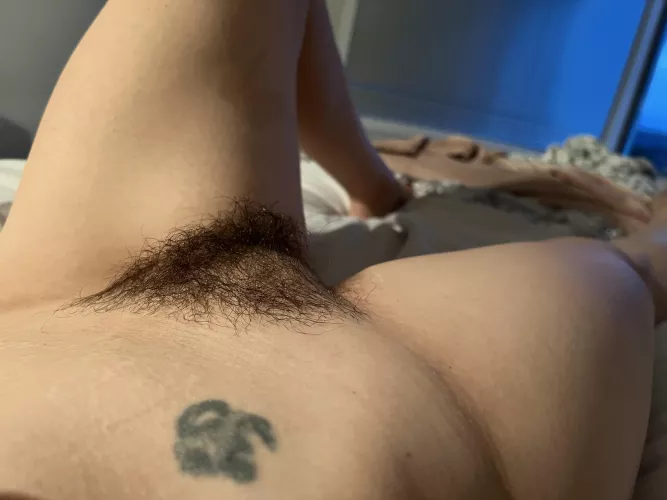 Do you want to explore my jungle? by Brazen_Cupcake