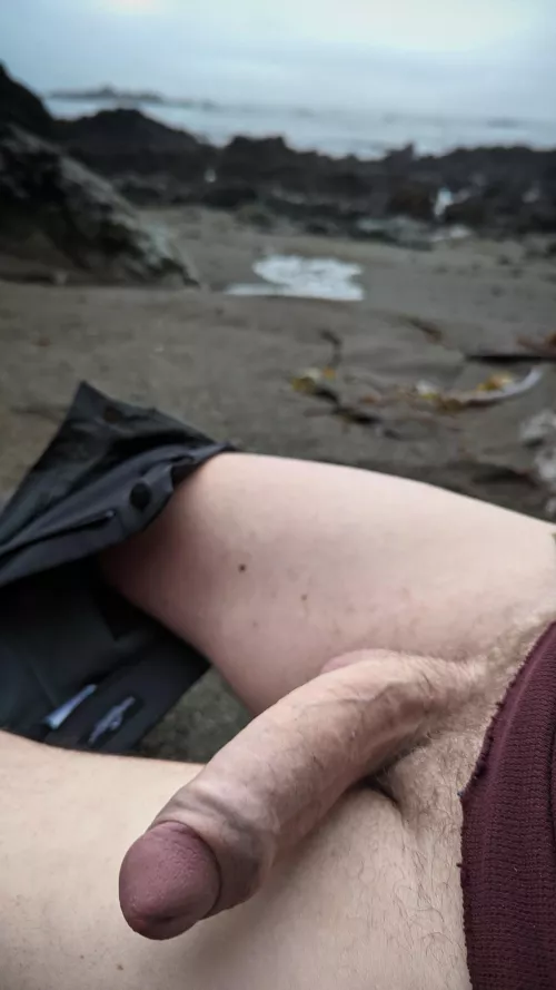 Does a far away and out of the way Canadian beach, with only my buddy near by count as public? A bear might have been watching me... by Yardsandtail