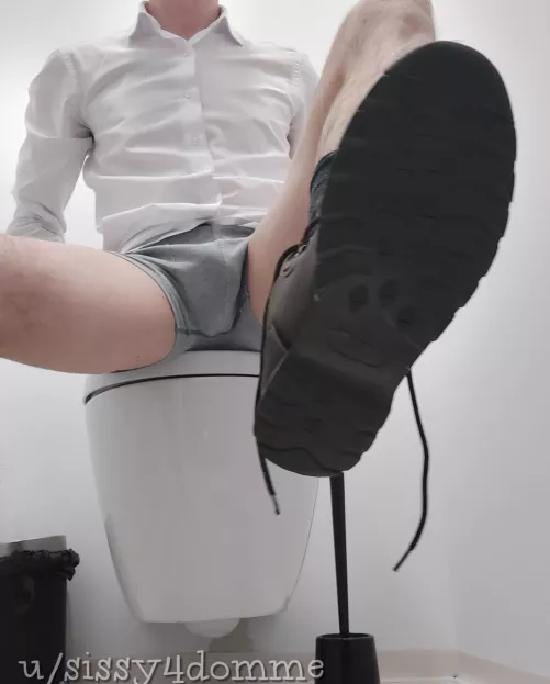 Does a public bathroom count as public revealing? by sissy4domme