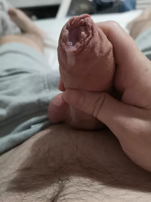 Does a thick uncut cock thats covered in precum do it for you?? by Imabsolutelyfree