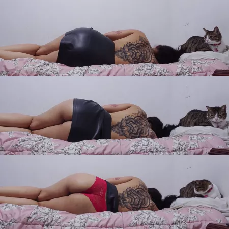 Does any redditor want to sleep with me and my cats? by Alexa_2600