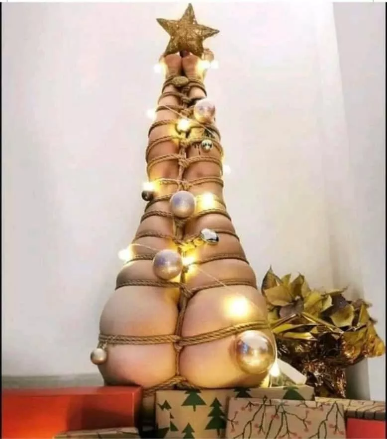 Does anyone have a tutorial for something like this? Finally talked my wife into doing something with ropes and this will be the first thing ever we’ve tried posted by fireman6815