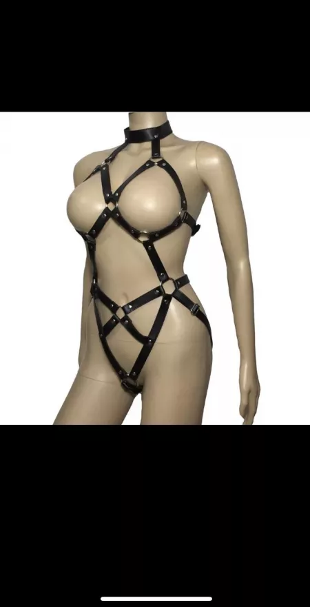 Does anyone know where to find a body harness like this one that has lockable buckles or straps? Doesn’t have to be exactly this style. by Raina951