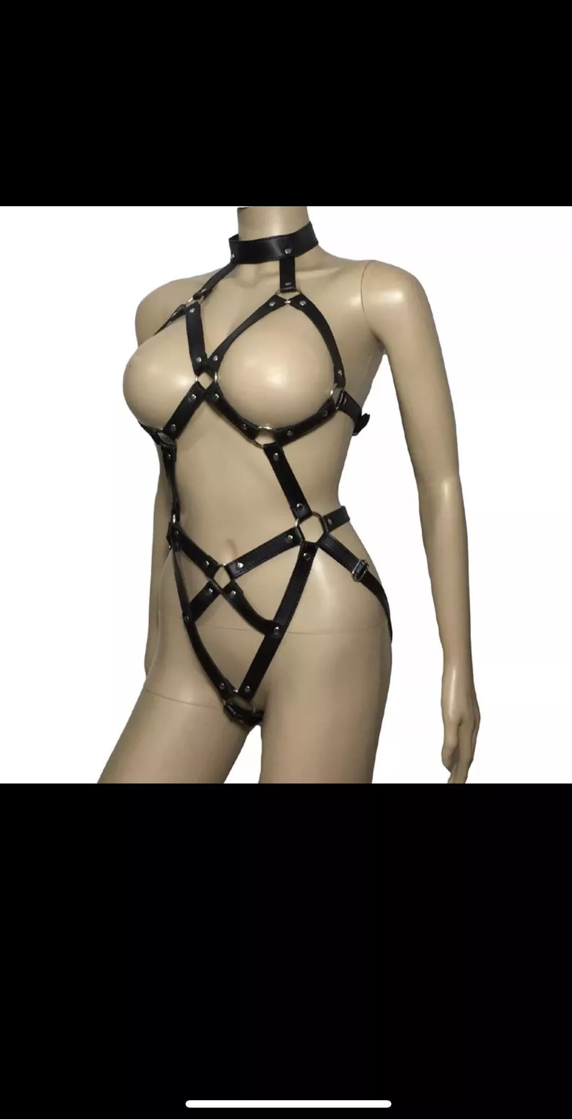 Does anyone know where to find a body harness like this one that has lockable buckles or straps? Doesn’t have to be exactly this style. posted by Raina951
