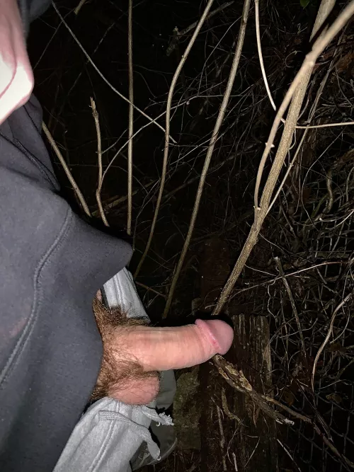 Does anyone like to give head outside? by FortuneLincoln_zzz