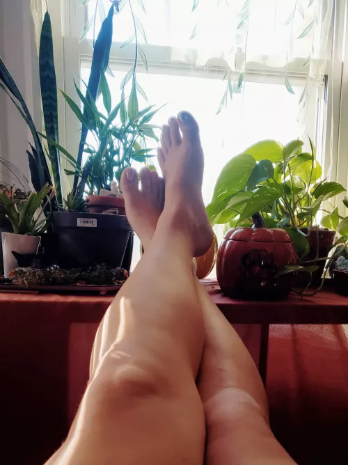 Does anyone want to help me warm up? by vrpl2