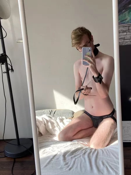 Does it count if it’s just a collar 🥺🐶 by twinkgonemild