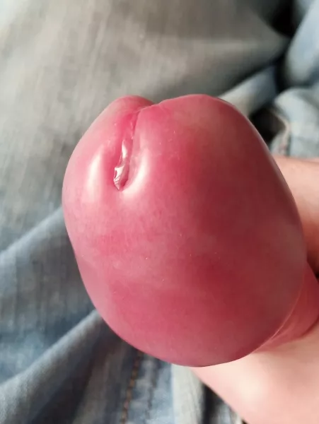 Does it look appetizing? by faunishorny