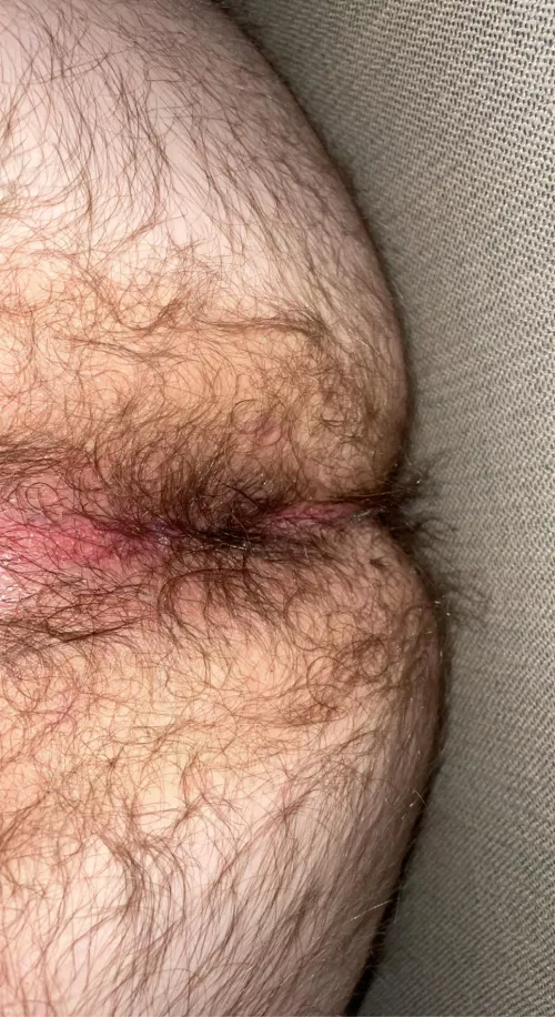 Does my hairy hole count for hump day? 😏 (23m) by andygoal19998