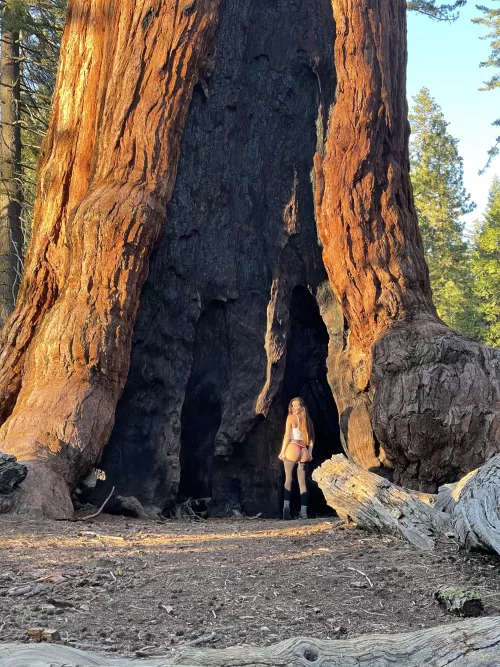 Does nature turn you on? by coopinston