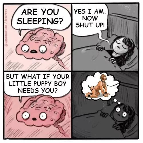 Does worrying about your pup give you sleepless nights? 🥺🐶 posted by slave4useuk