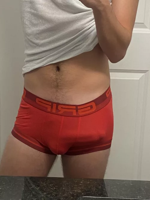 doesn’t hide much by eaglelinc