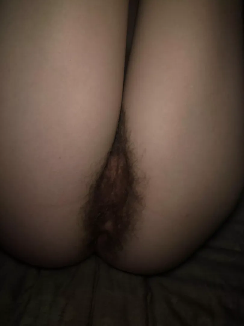 doesn’t it look fluffy🥰 posted by cl0verfie1d