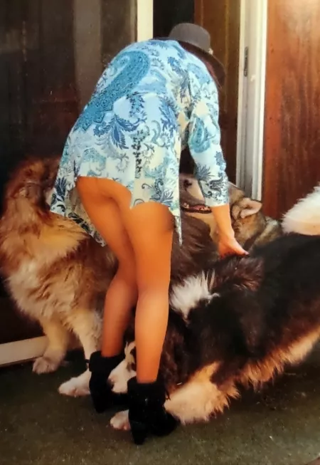 Dog day afternoon 🐕 by MsNylons