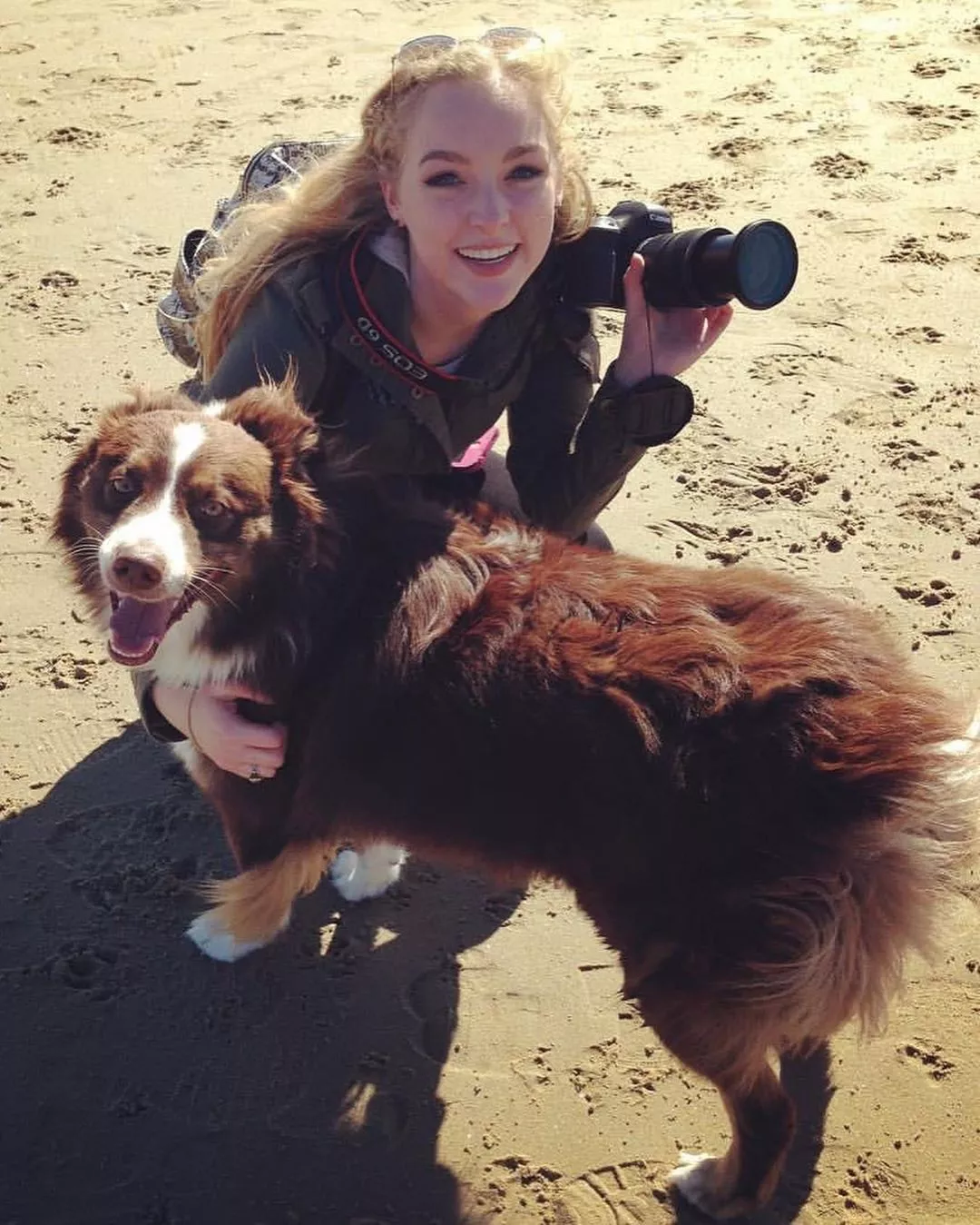 Dog posted by imnotjavier