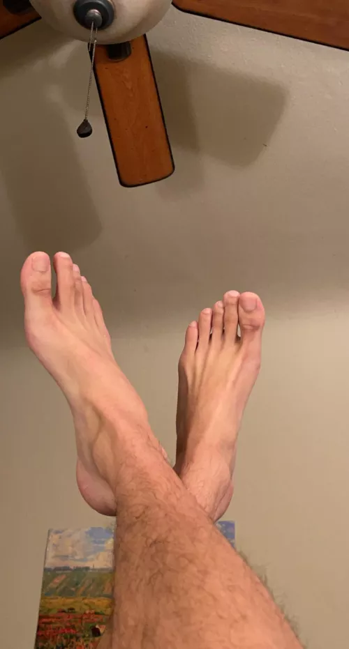 dogs are barking after a long day by aquickho