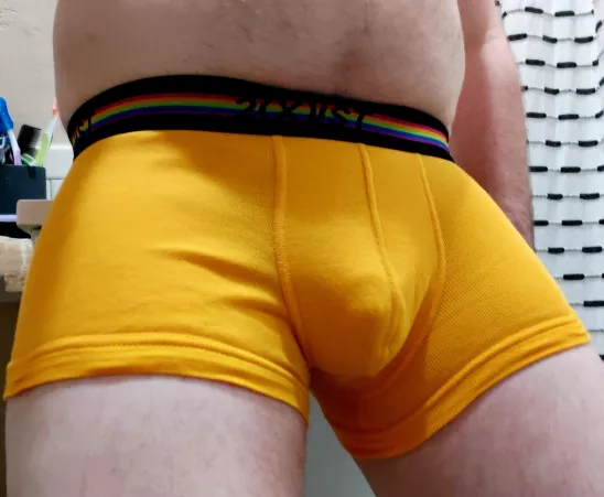 Doing a week of trunks, from the pride pack, day 1 by Homo_gone_wild