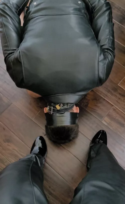 [domme] I make him bow before the pegging starts. by 247BallGagged