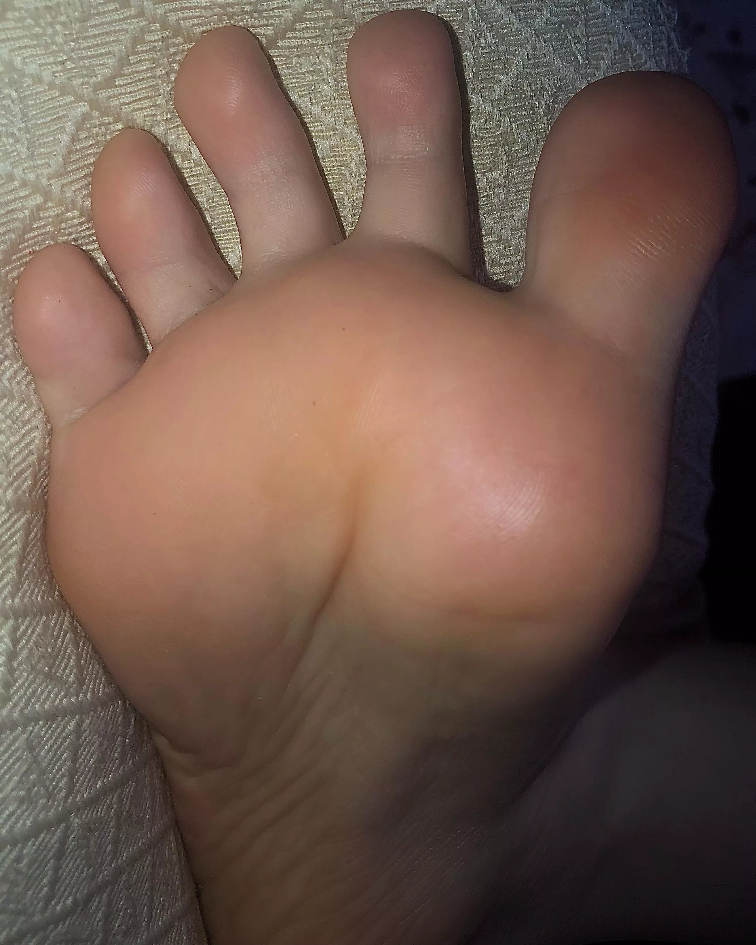 [domme] I recommend you to lick the screen, as I can't put it in your mouth. Quickly. 🥰⛓ posted by lolazahira