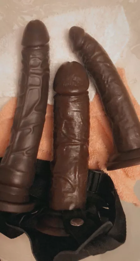 [domme] Which one loser? by shesabrat304