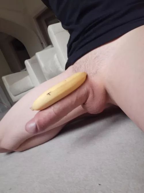 Donkey Kong 👑 by xxlmonstercock