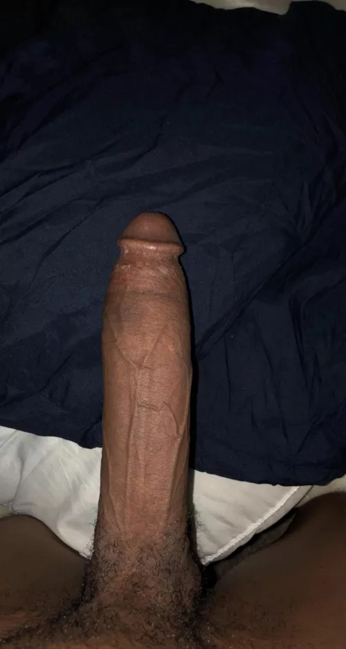 Don’t be shy, dm me by LordKaiuss