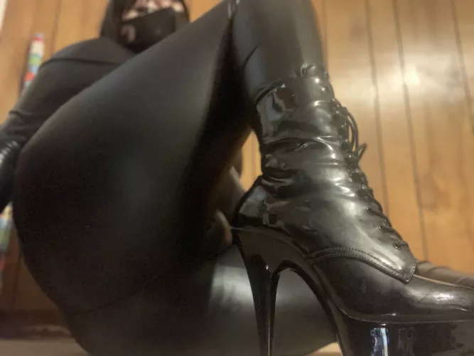 Don't just sit there and look dumb, make yourself useful by misslofn