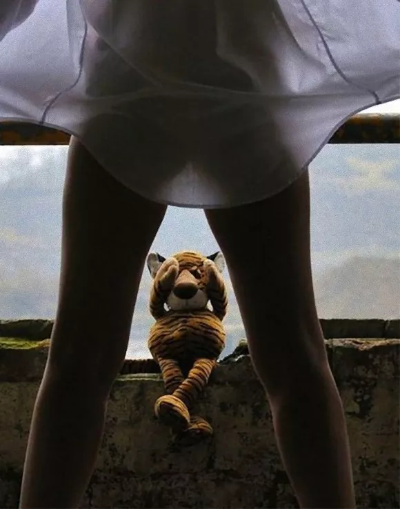 Don't Look, Hobbes! posted by Plethorian