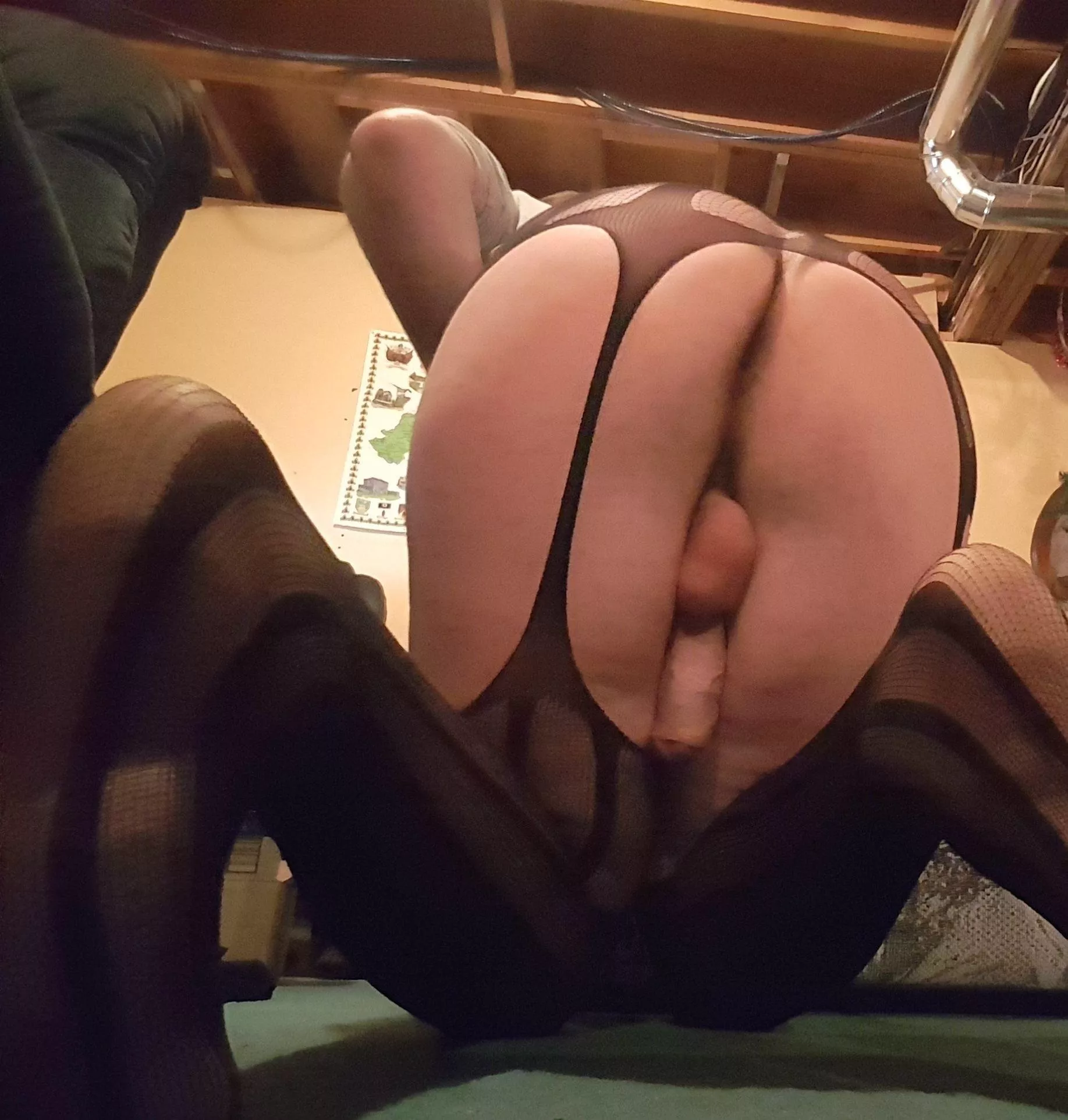 Don’t mind long legs, do you? posted by mikeycdn