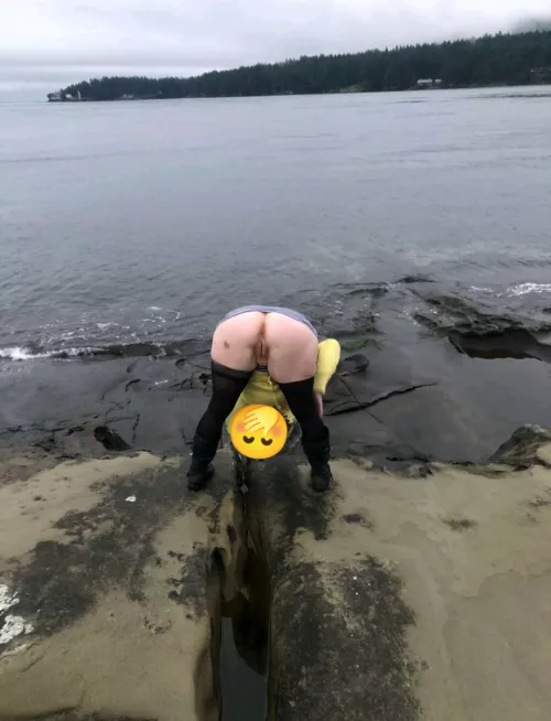 Don't mind me, just trying to get a closer look at the shoreline. (F) by yogachick420