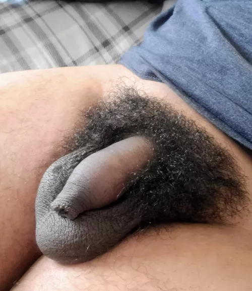 Don't mind the bush. by yankee-7