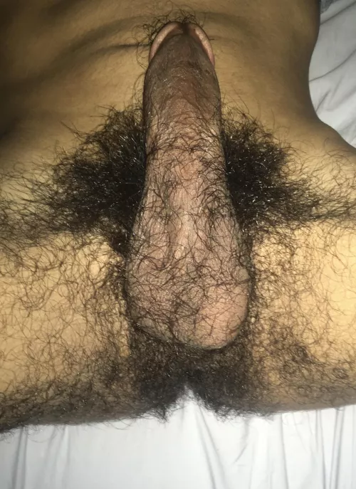 Don’t mind the bush by Aleph_Null-0